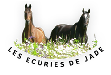Les écuries de Jade Ain 01 Centre équestre